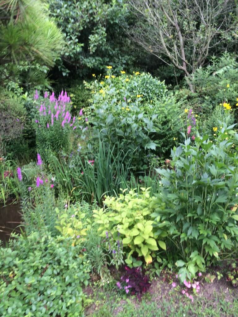 גן פרחים מחוץ למוזיאון צ’י צ’ו 