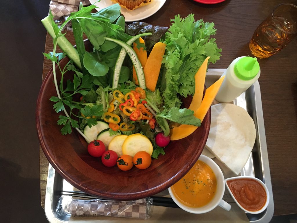 יפן וטבעונות – עדי רוזנשטיין – [פוסט אורח]