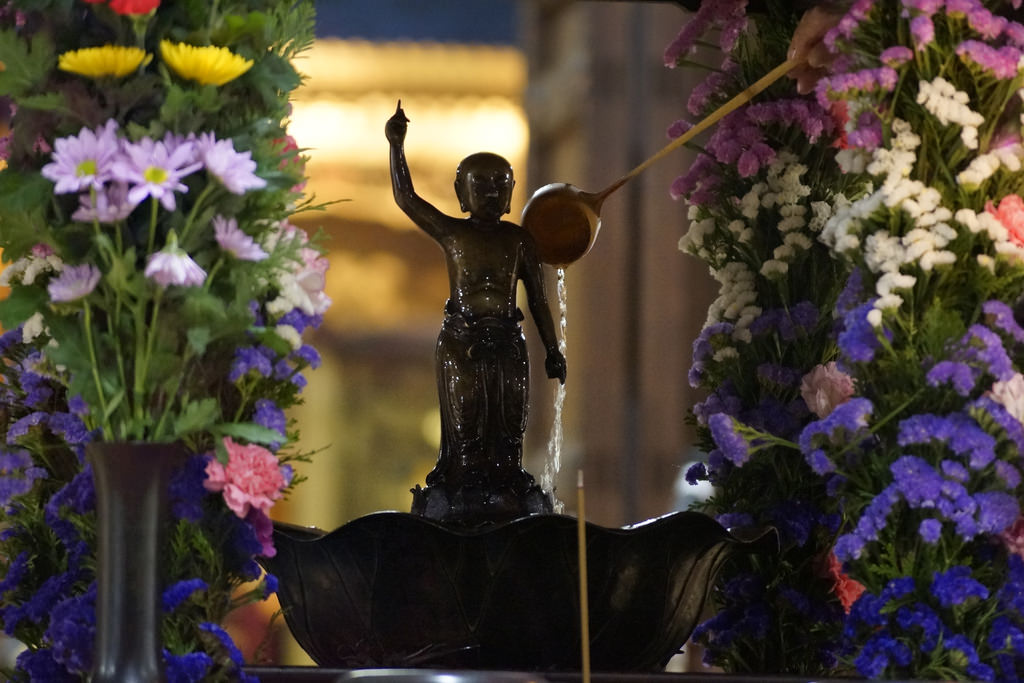 פסטיבל הפרחים של יפן, האנה מצורי – 8 באפריל