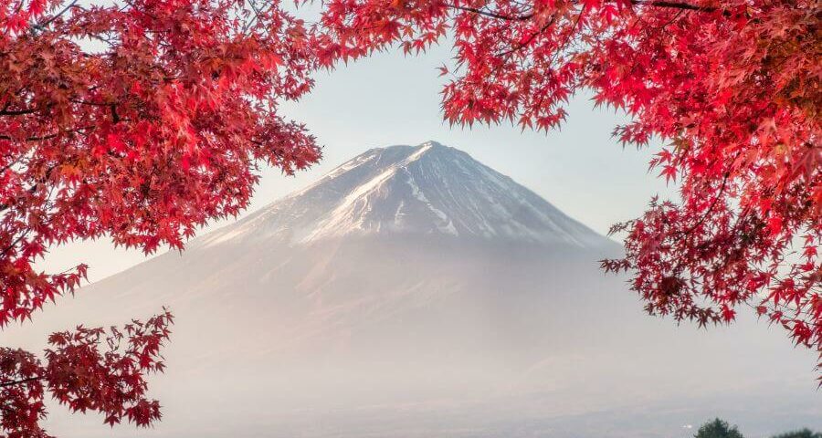 טיול מאורגן ליפן בסתיו