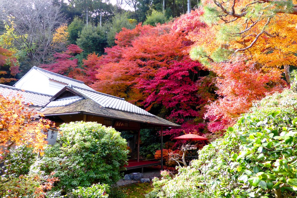מקדש נישונין – אראשיאמה – Nison-in Temple