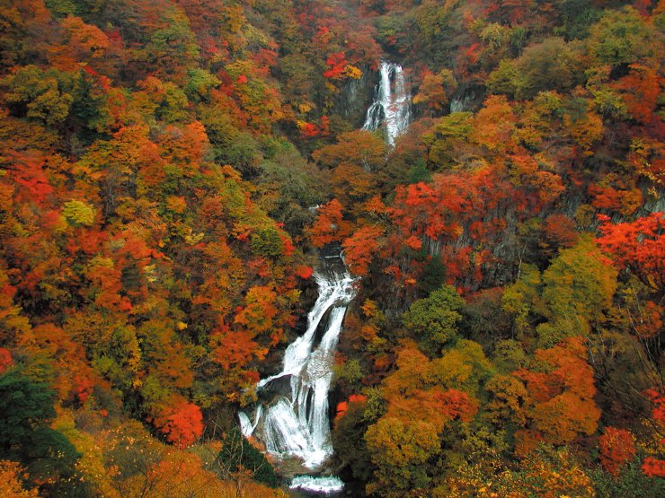 מפלי קיריפורי – מרכז קיוטו – Kirifuri Falls