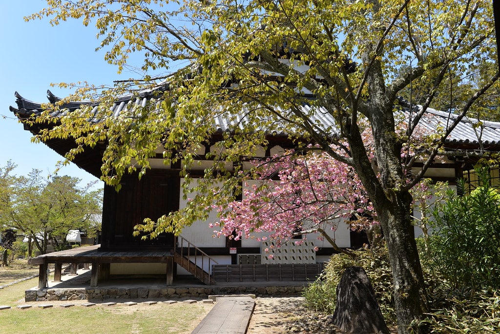 מקדש גאנגוג'י – נארה – Gangoji Temple