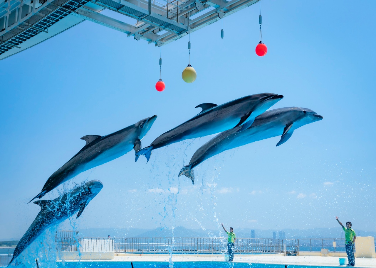 Fukuoka Marine World Uminonakamichi E-Tickets