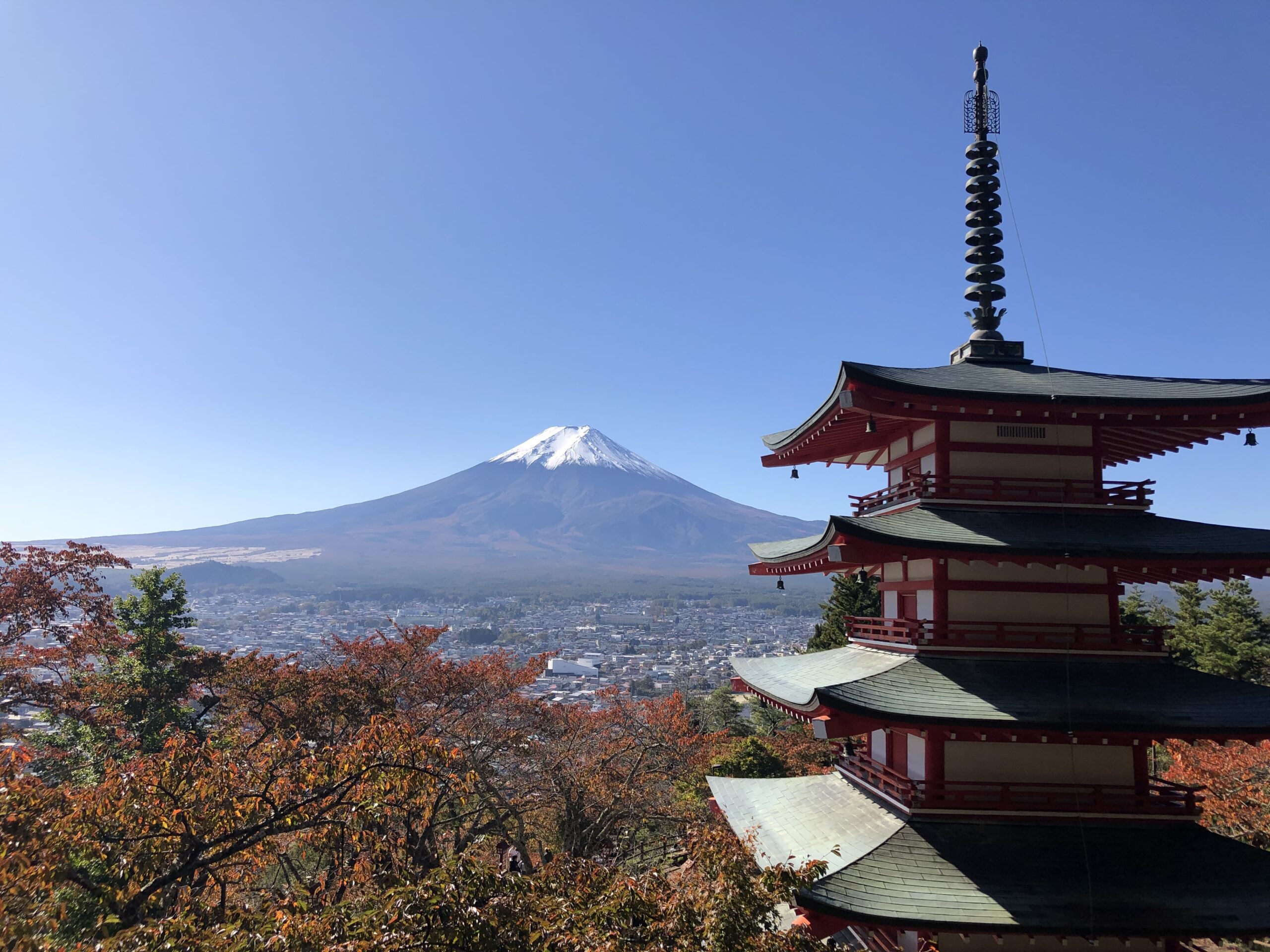 Mount Fuji Panoramic View And Shopping Day Tour